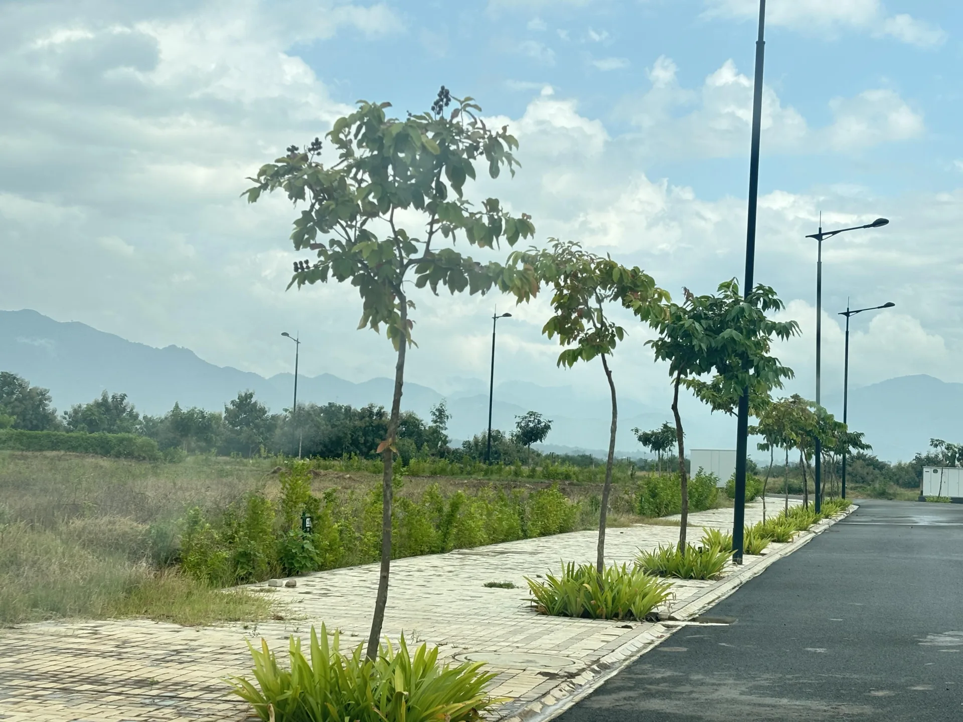 Residential land / Plot in Sector 4 Panchkula